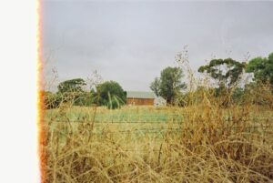 法国考虑效仿澳洲禁止社交媒体家属起诉抖音 France Considering Social Media Ban Following Australia as Families Sue TikTok