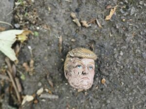 特朗普称美国对以色列袭击伊朗天然气田一无所知