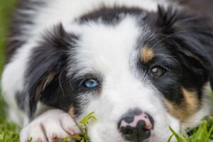 Why Aussies will face months of higher costs