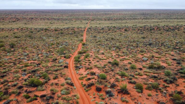 澳大利亚逃犯在伊斯坦布尔找到避难所，随后一切崩溃