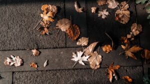 Ben Roberts-Smith leaves jail after securing bail over alleged war crimes