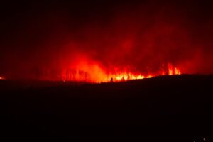 Heatwaves, floods and wildfires pose rising threat to democracy, report finds