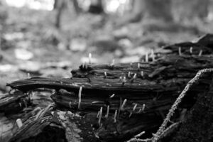 Keeping old S’pore condos liveable will take financial discipline, not just new rules and subsidies