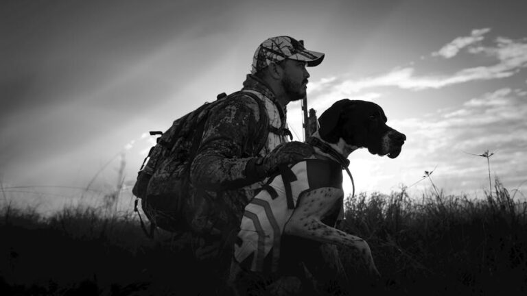 美国百万富翁狩猎者被大象压死