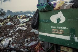 Never waste a crisis, comrade. But can Albonomics meet the moment?