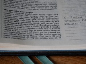 Penfolds owner Treasury Wine Estates faces ‘elevated risk’ of bankruptcy, short seller says