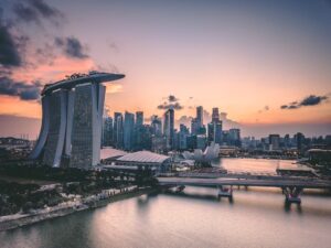 New ‘Singapore Pokedex’ aims to turn hikes into wildlife-spotting adventures