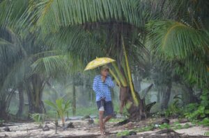 Tropical Cyclone Maila likely to cross Far North Queensland