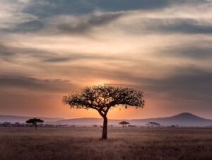 Africa summit in Kenya: France seeks new partners