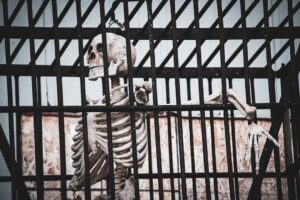 ‘Death’: Fears for detained Aussie activists