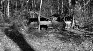 New footage of ute where 'very decomposed' body found in manhunt for triple killer