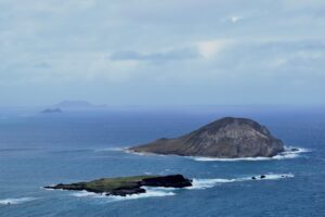 WHO head reassures island as hantavirus-hit ship nears