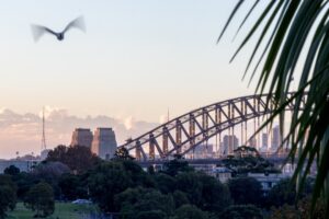 Sydney Harbour rubbish loads rise during Vivid, Seabin claims