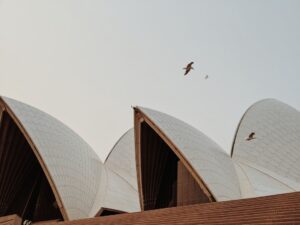 While rightwing Australia scapegoats immigrants, the country directly benefits from our skills and labour | Zoya Patel