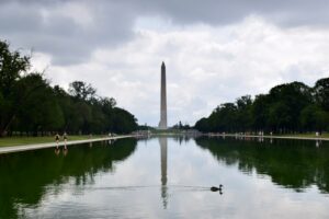 Algae-filled Washington pool to be drained for repairs after US$14.7 million renovation