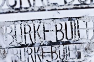 Burke brushes off One Nation threat to his seat – as it happened
