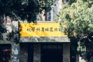 China arrests US academic at conference for ‘espionage activities’