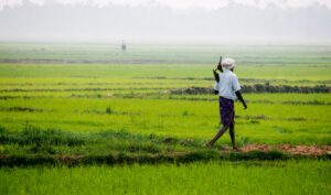Farmers question plan to build youth centre near Ord cotton properties