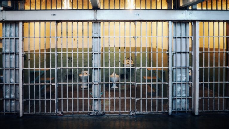 诈骗犯因盗取「年长和脆弱」受害者数百万被判入狱