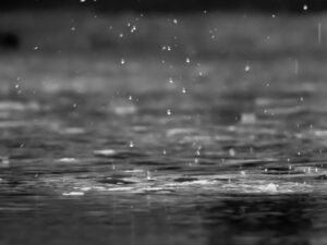 More rain on the way for WA after storm damages roofs, downs trees