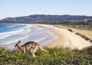 Scientists in Australia find ‘smoking gun’ evidence of world’s oldest meteorite strike