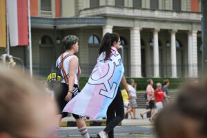 Transgender troops can remain in US military, but enlistment can be blocked, court rules