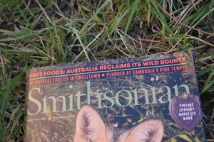 The Australian author who went from rejection letters to global bestseller