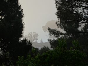 Fierce wildfires in Spain kill 11, leave 23 missing