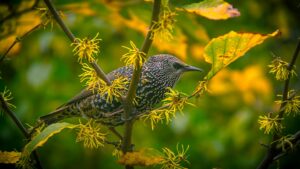 First native bird found with H5 bird flu, marking 'devastating' new reality