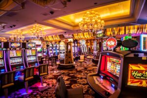 Labor’s gambling ad reforms a ‘capitulation’ to industry lobby, Liberal MP says