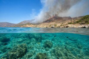 Two firefighters die in Crete as wildfires threaten parts of southern Europe