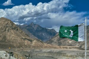 Pakistan syndicate allegedly smuggled human placentas, say police