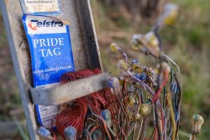 Telstra white-knuckles its outage crisis with CEO Vicki Brady in the wind