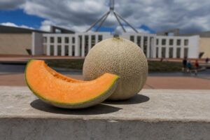 Live: PM rejects suggestion melon comment was a 'classless' reference about women