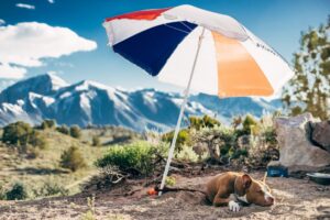 Pack the umbrella as cooler days and showers loom for Qld this weekend