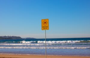 Shark attack prompts rare kill order in Western Australia as victim named