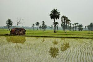 Why Bangladesh must pivot to renewable energy now
